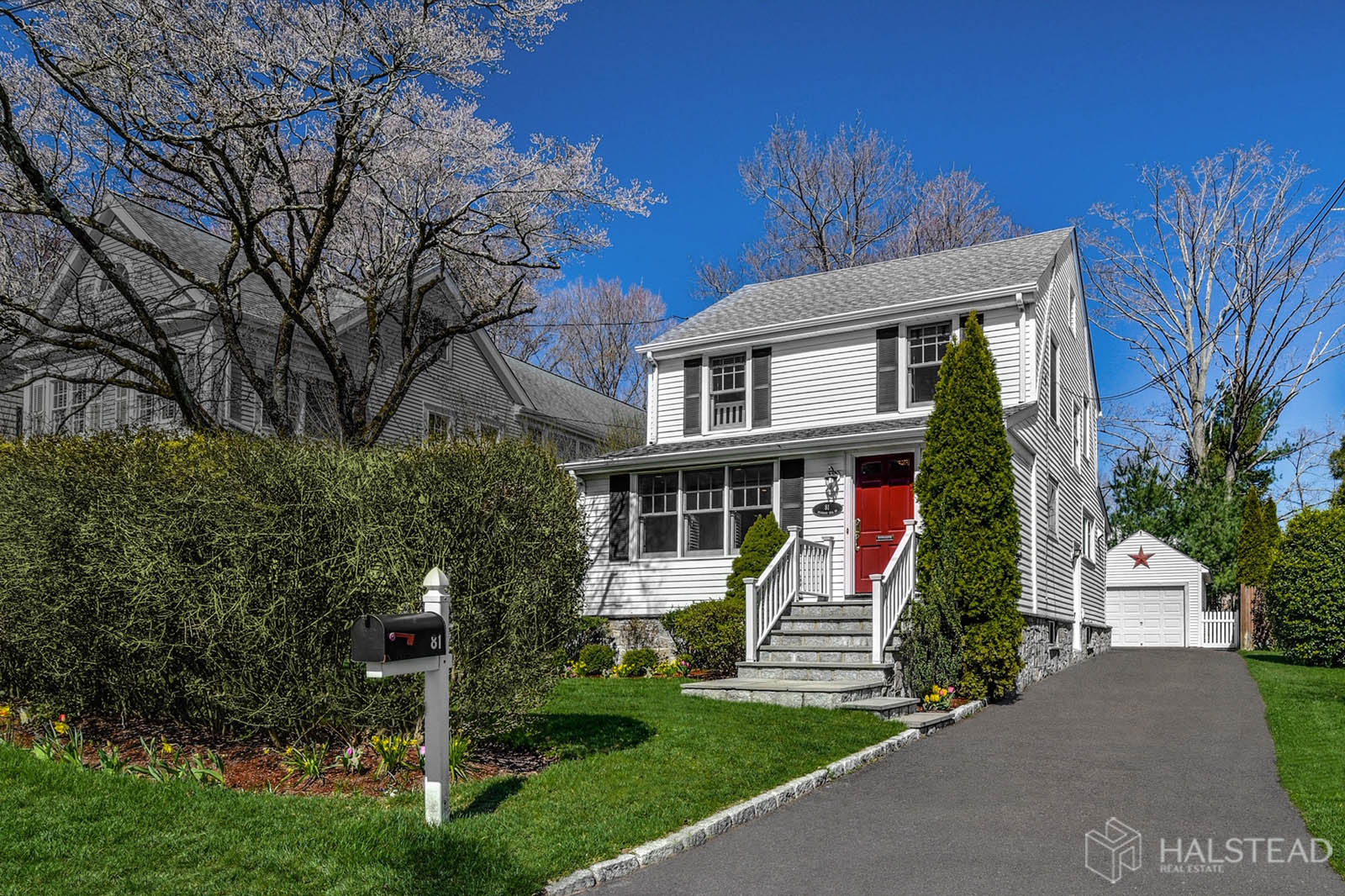 81 RICHMOND HILL ROAD