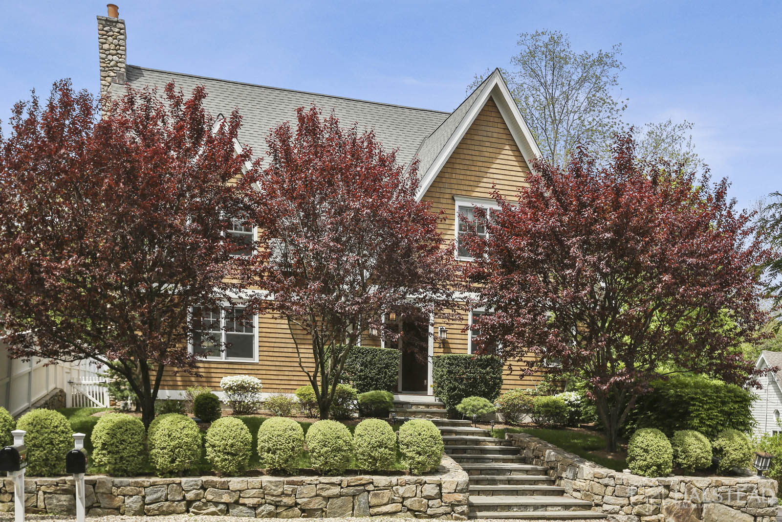 25 WITCH LANE