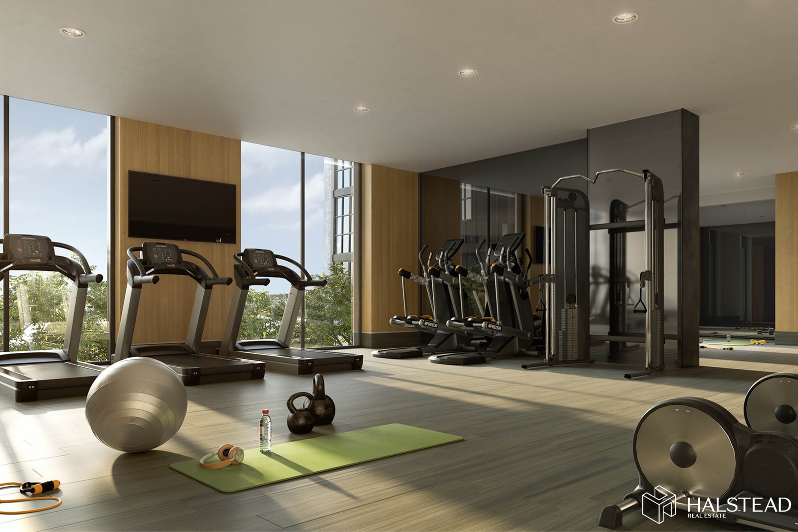 2218 JACKSON AVENUE, Long Island City, $3,800, Web #: 19890849