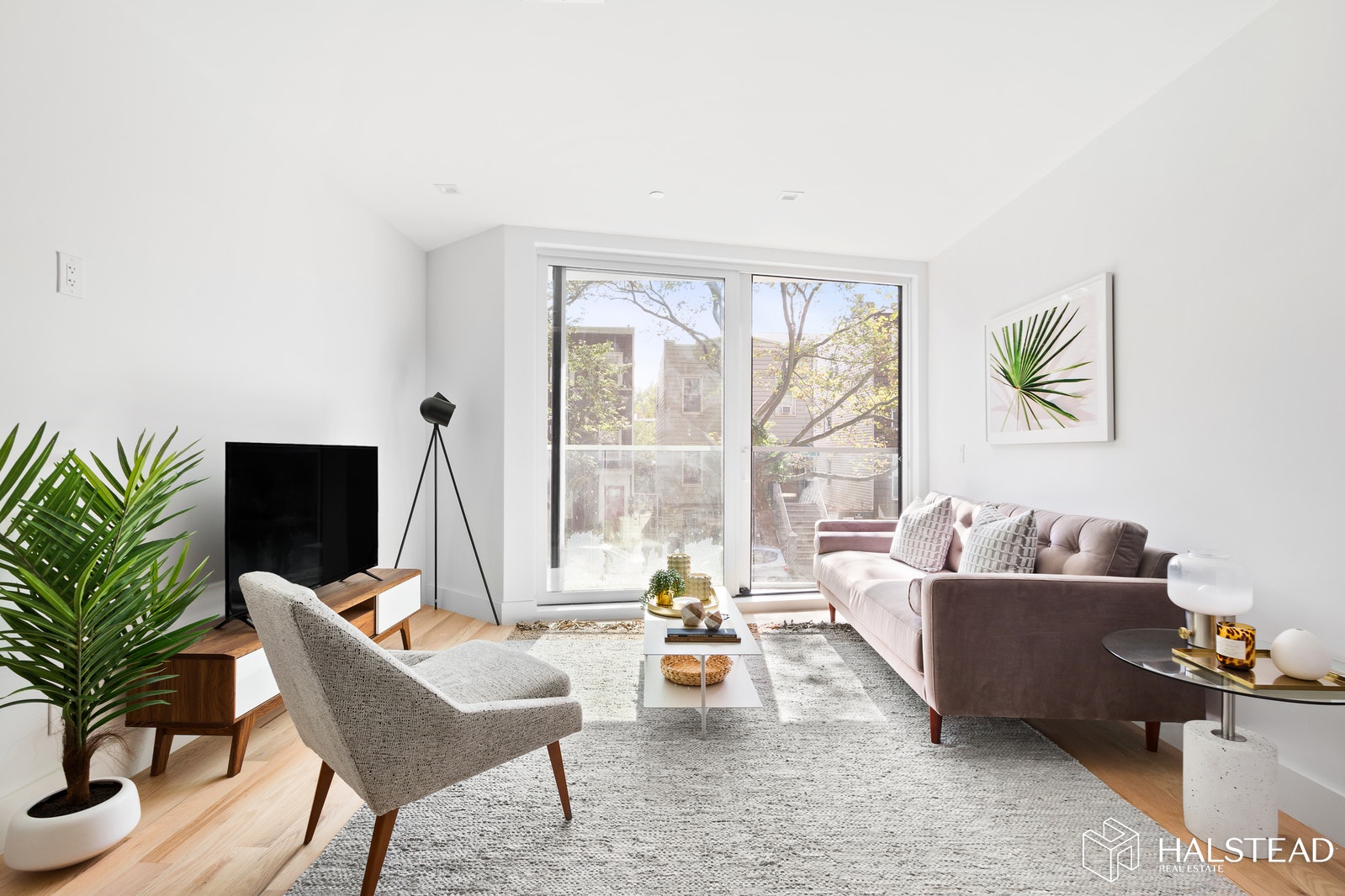 95 AINSLIE STREET 1R