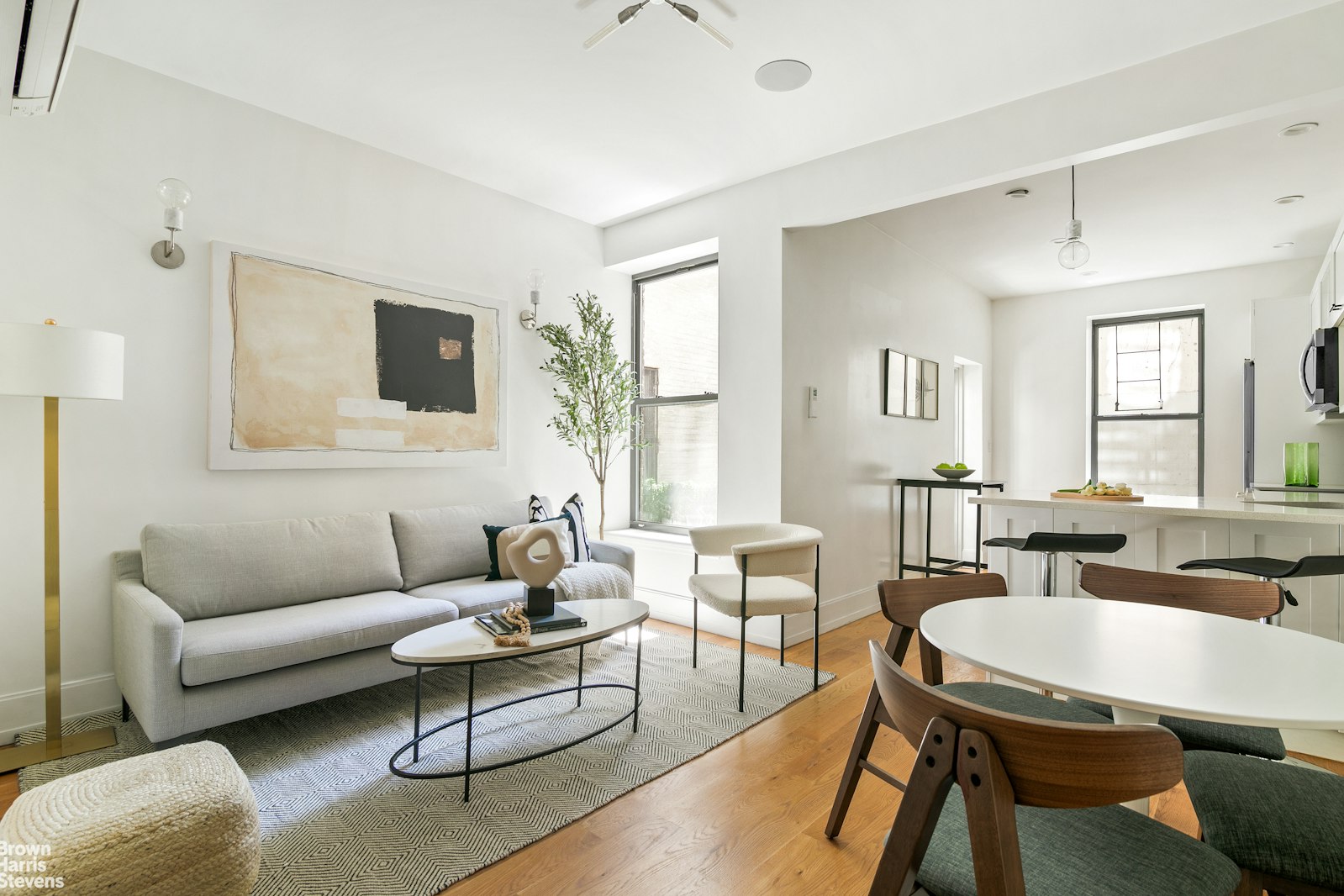 Photo 1 of 790 St Johns Place 1A, Crown Heights, Brooklyn, NY, $1,085,000, Web #: 22961389
