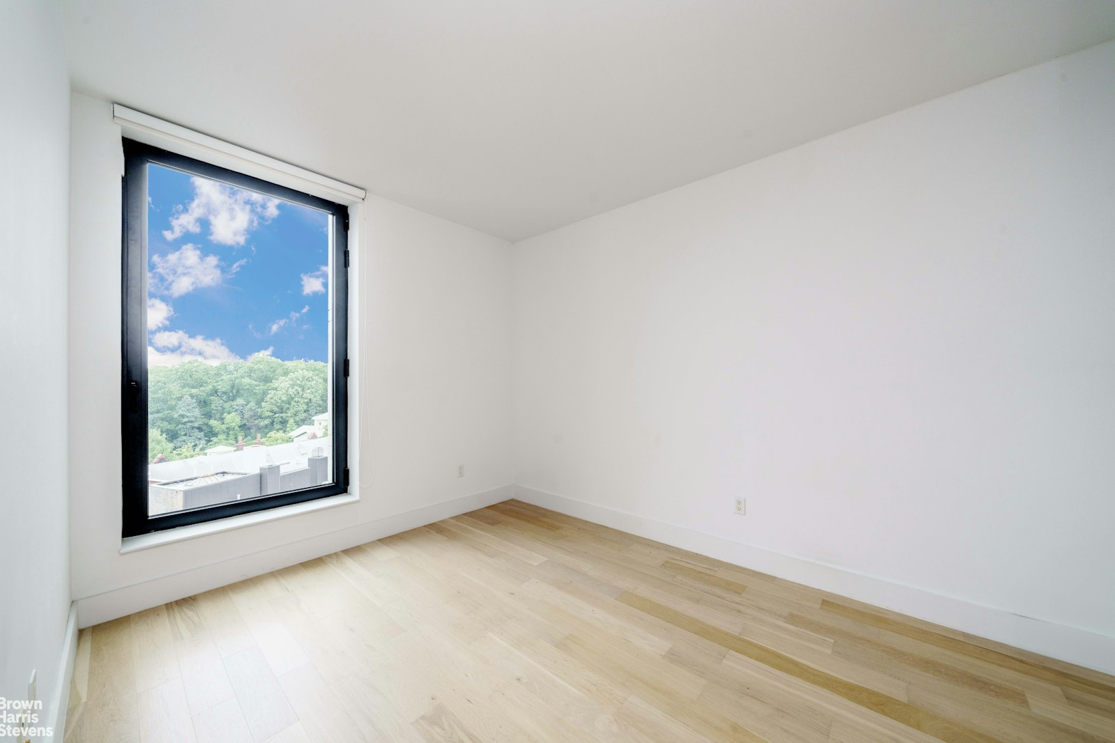 111 Montgomery Street Crown Heights Brooklyn NY 11225