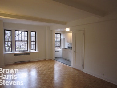 Large Renovated Studio, Brooklyn Heights, Brooklyn, NY - 1 Bathrooms  
2 Rooms - 