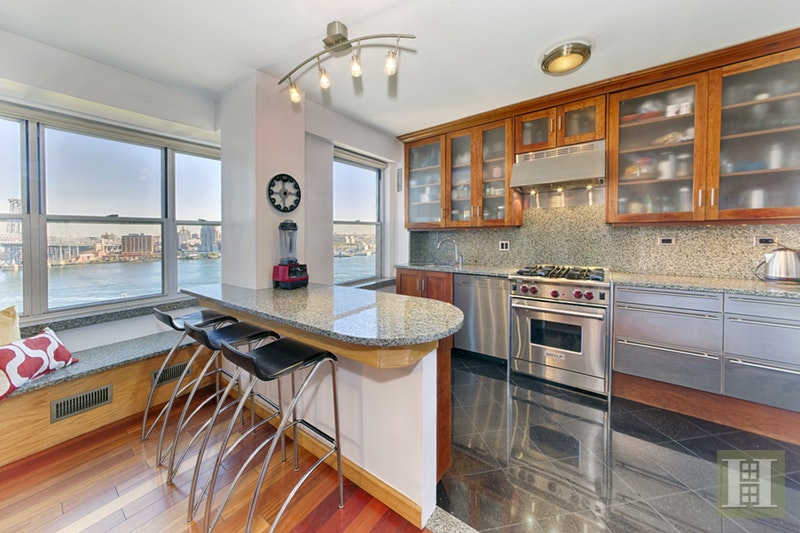 Photo 1 of 453 FDR Drive, Lower East Side, NYC, $1,579,000, Web #: 17651028