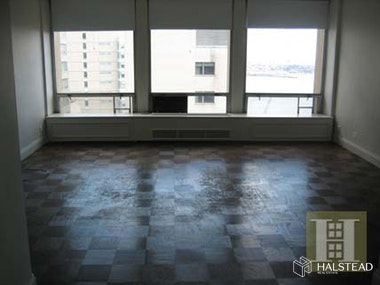 343 EAST 30TH STREET 19L