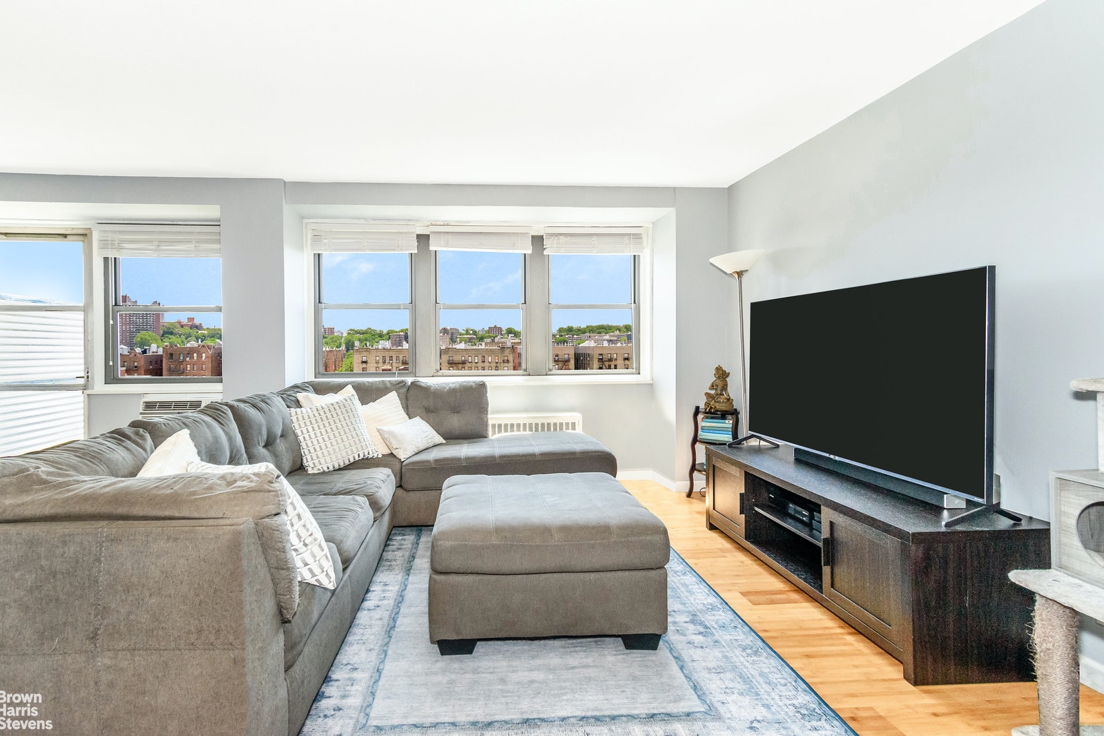 Photo 1 of 290 West 232nd Street, Kingsbridge, New York, $342,500, Web #: 21067028