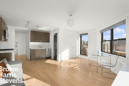 330 Third Avenue 18E, Gramercy Park, NYC - 1 Bedrooms  
1 Bathrooms  
3 Rooms - 