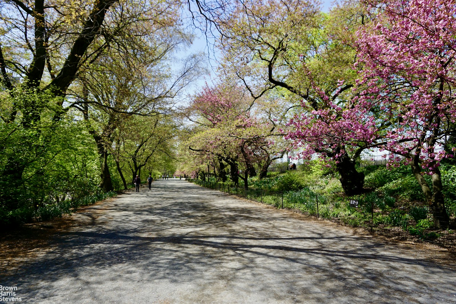 175 East 93rd Street Carnegie Hill New York NY 10128