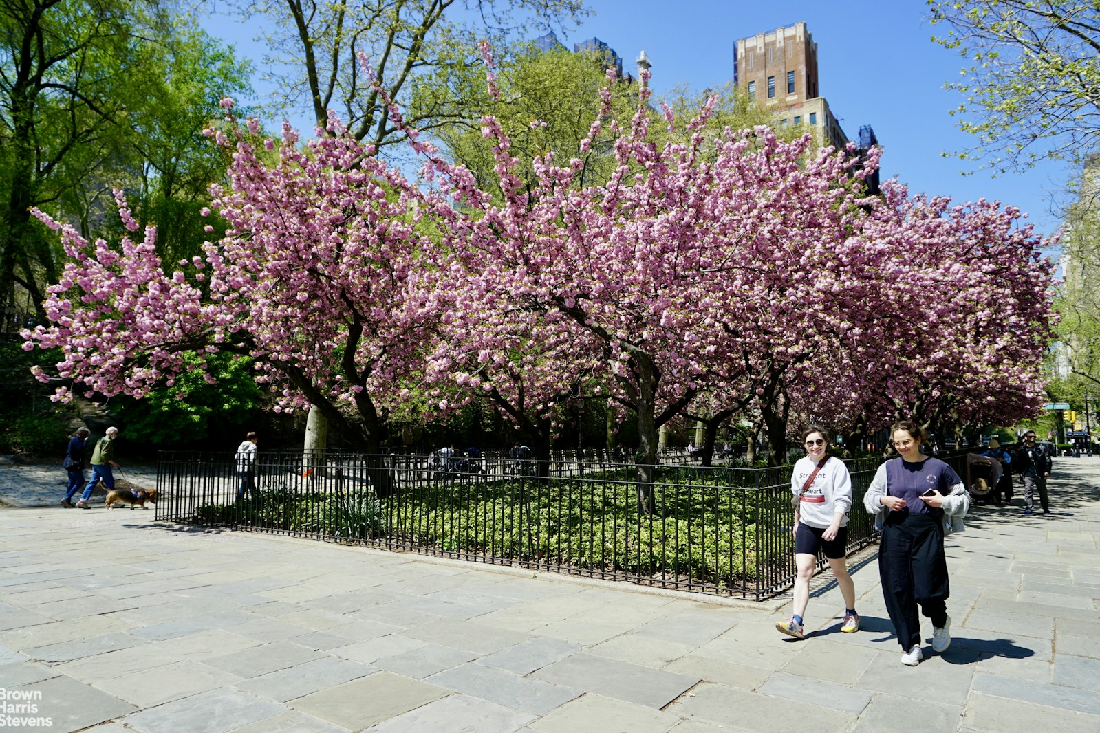 175 East 93rd Street Carnegie Hill New York NY 10128