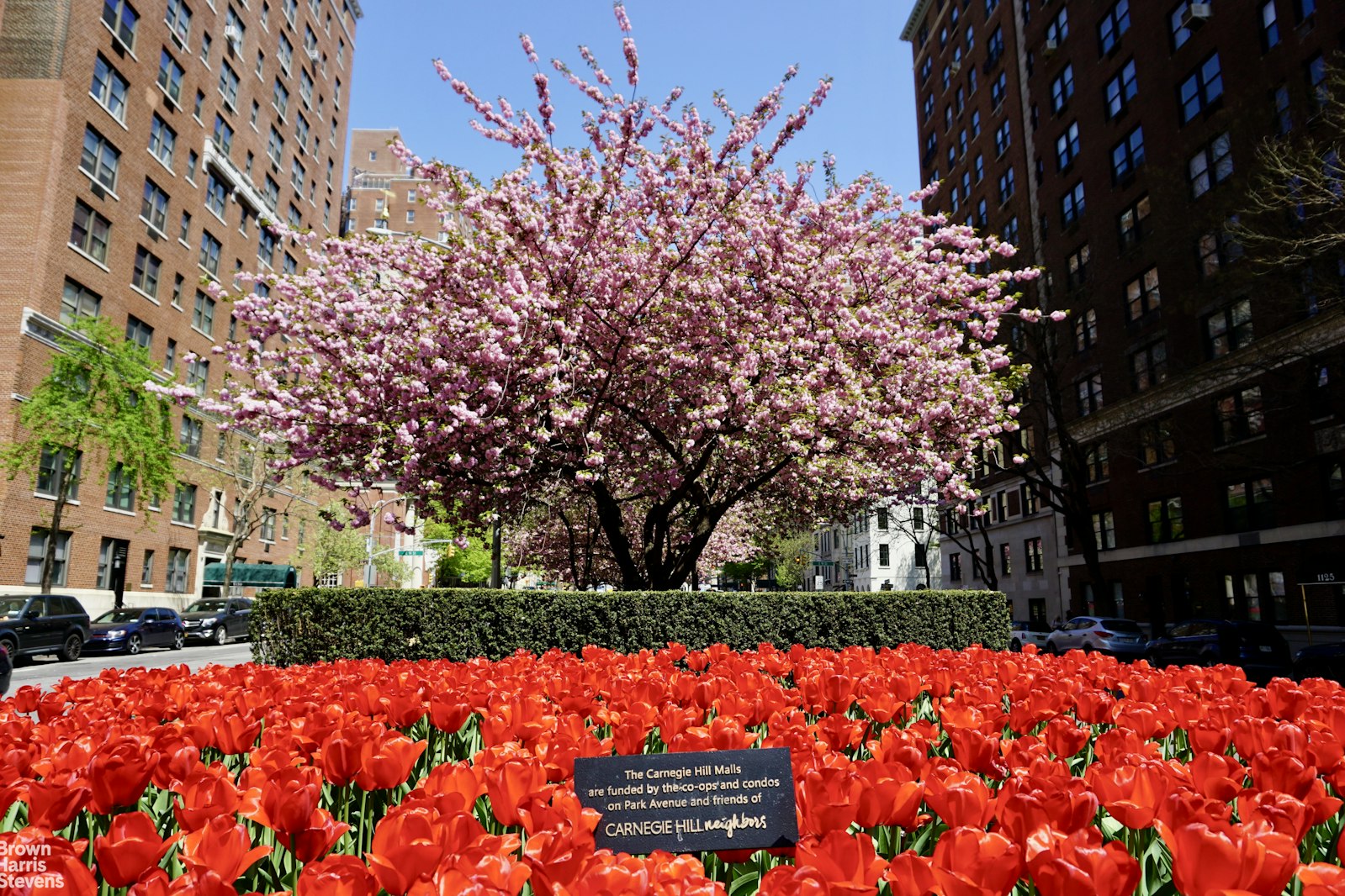 175 East 93rd Street Carnegie Hill New York NY 10128