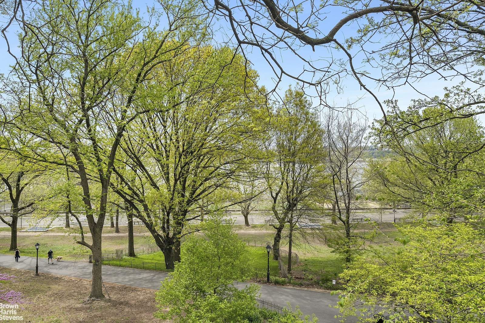 310 Riverside Drive Upper West Side New York NY 10025
