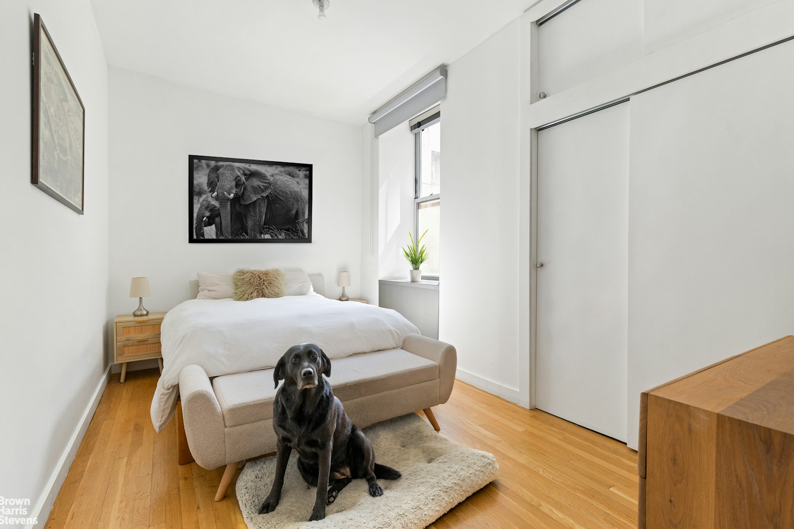 419 West 55th Street Clinton New York NY 10019