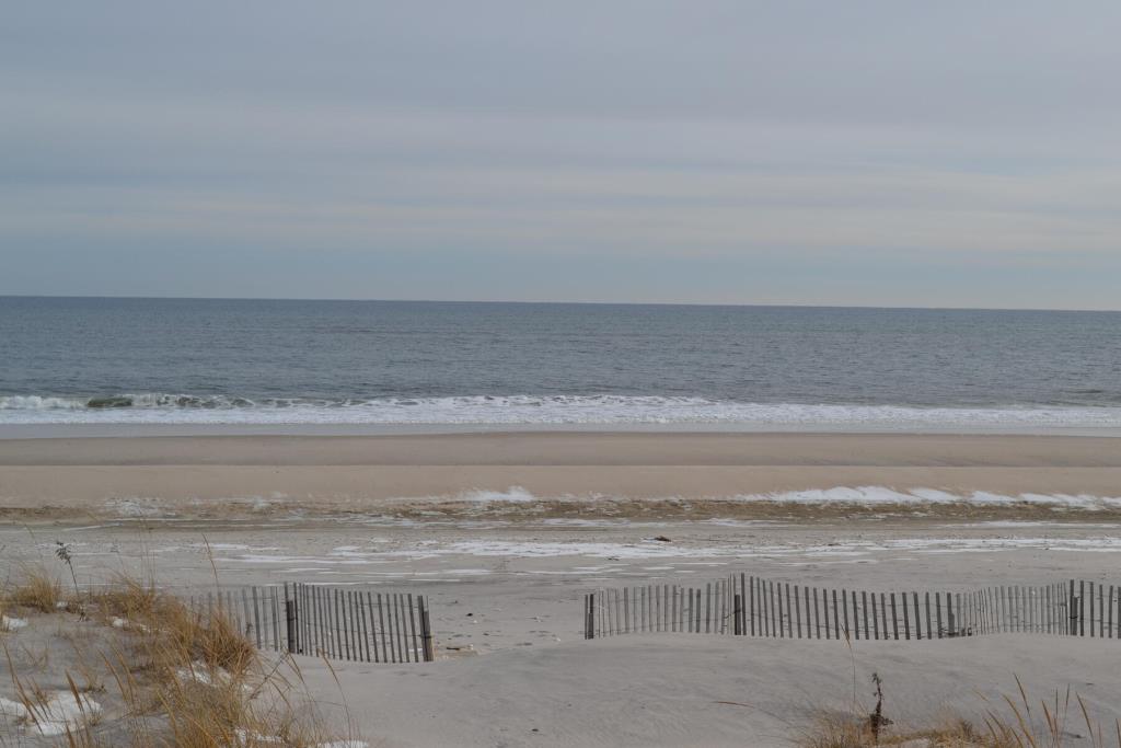 Westhampton Dunes